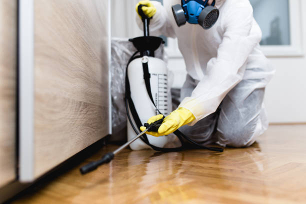 Best Local Pest Control Services  in Hanover, OH
