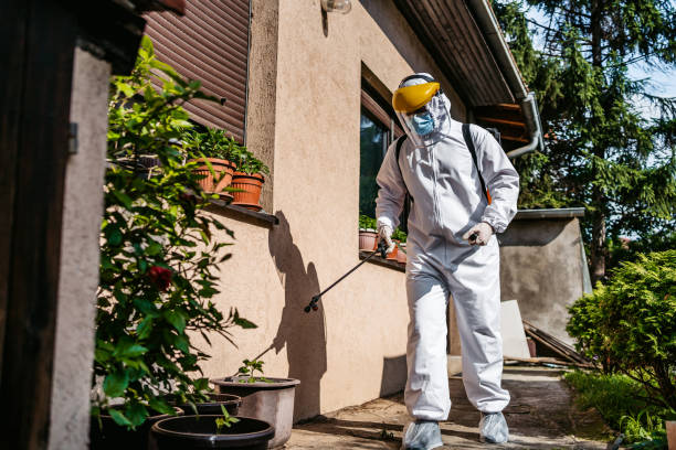Best Mosquito Control Services  in Hanover, OH
