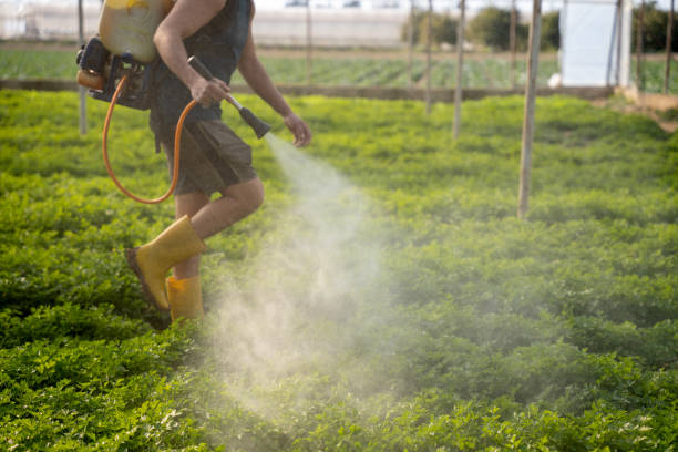 Best Best Pest Control Companies  in Hanover, OH
