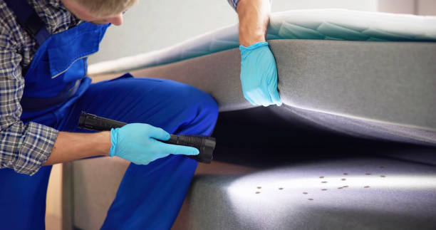 Best Exterminator Services  in Hanover, OH