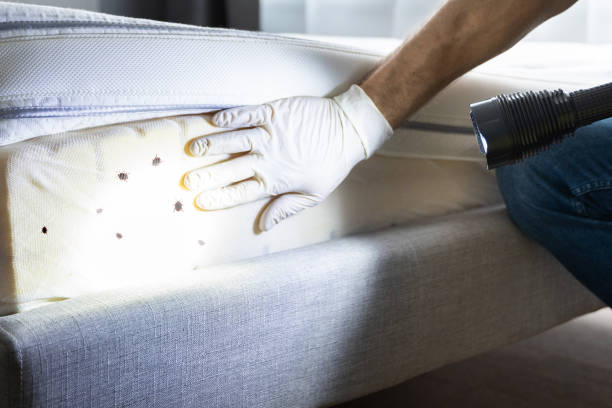Best Bed Bug Extermination  in Hanover, OH